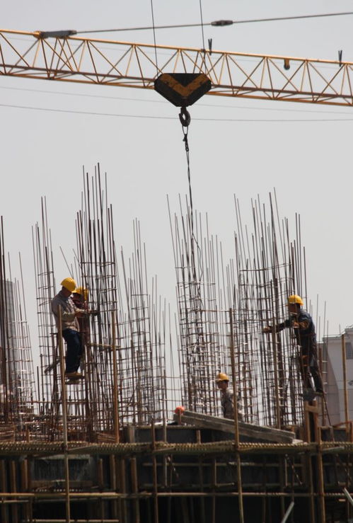 惠州市附著式升降腳手架子工證考試指南 報(bào)名、考試內(nèi)容及查詢(xún)方式